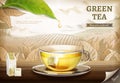 Green tea bag ads Royalty Free Stock Photo