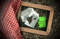 Green tea Bag on a background with dried leaves and checkered tablecloth Royalty Free Stock Photo