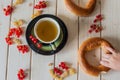 Green tea, bagel and currant Royalty Free Stock Photo