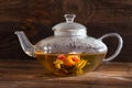 Green tea. Blooming flower in glass teapot Royalty Free Stock Photo