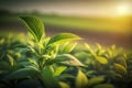 Green tea bud and fresh leaves. Tea plantations. Beautiful fresh green tea plantation, Generative AI