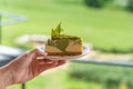 Green tea cheese cake on white dish Royalty Free Stock Photo