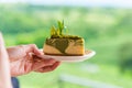 Green tea cheese cake on white dish Royalty Free Stock Photo