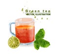 Green tea cup watercolor Vector. Aromatic tea icon template isolated on white Royalty Free Stock Photo