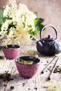 Green tea with elder flower Royalty Free Stock Photo