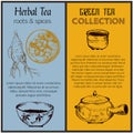 Green tea and health care herbs banners set sketch vector illustration. Tea leaves, chinese teapot, herbs and ginseng