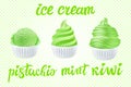 Green tea ice cream with mint vector Set of pistachio, kiwi with of different shapes in a cup on transparent background lettering Royalty Free Stock Photo