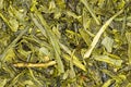 Green Tea Japan Sencha Close Up