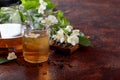 Green tea with jasmine in cup and teapot on old copper table. Royalty Free Stock Photo