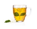 Green tea with jasmine flowers over white Royalty Free Stock Photo