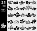 Green tea leaf collection set. Collection green tea leaf icon. Vector Royalty Free Stock Photo