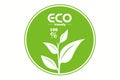 Green Tea leaf logo isolated on white background. Green tea icon. Eco Leaf sticker. Royalty Free Stock Photo