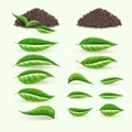 Green tea leaf. Pile of plants, bunch of herbs spices, herb stems and twigs, fresh ingredients for young and beauty eco