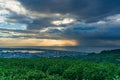 Green tea leaves with coastal landscape on the background Royalty Free Stock Photo