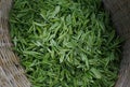 Green tea leaves Royalty Free Stock Photo