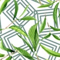 Green tea leaves. Watercolor background illustration set. Seamless background pattern. Royalty Free Stock Photo