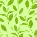 Green tea leaves seamless pattern. Branches with fresh leaves on a green background. Vector illustration