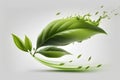 Green tea leaves with splashes and drops of water. Vector illustration. Royalty Free Stock Photo