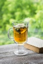 Green tea with lemon and mint and a book Royalty Free Stock Photo