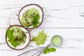 Green tea matcha mint ice cream with chocolate and coconut milk. Royalty Free Stock Photo