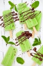 Green tea matcha mint popsicles with chocolate and coconut milk. Royalty Free Stock Photo