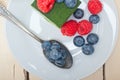 Green tea matcha mousse cake with berries Royalty Free Stock Photo