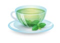 Green tea with mint in a transparent cup isolated on whitet background. Organic healthy drink. Vector illustration.