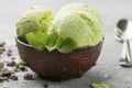 Green tea organic homemade ice cream with mint leaves Royalty Free Stock Photo