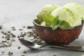 Green tea organic homemade ice cream with mint leaves Royalty Free Stock Photo