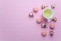 Green tea and pastel french macarons cakes on pink background. Dessert in a garden. Flat lay. Free text space.