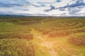 Green tea plantation over high hill Royalty Free Stock Photo