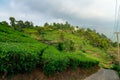 Green tea plantations in Munnar, Kerala, India stock photo Royalty Free Stock Photo