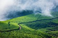 Green tea plantations in Munnar, Kerala, India Royalty Free Stock Photo