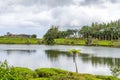 Green tea plantations near lake, high in the mountains in Mauritius island Royalty Free Stock Photo