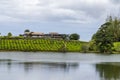 Green tea plantations near lake, high in the mountains in Mauritius island Royalty Free Stock Photo