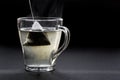 Green tea in a pyramid tea bag is brewed in hot water in a transparent cup. Black background. Back light. Free space for an Royalty Free Stock Photo