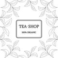 Green tea, shop, new