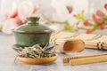 Green tea, traditional Chinese porcelain tea Sasha and tea ceremony attributes Royalty Free Stock Photo