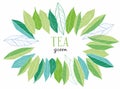 Green tea. Unique spelling and painted green, dark and light leaves Royalty Free Stock Photo