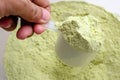 Green Tea Whey Protein Royalty Free Stock Photo