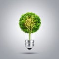 Green Tech Innovation Tree Circuit in a Lightbulb Royalty Free Stock Photo