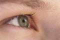 Green teen girl eye closeup side view