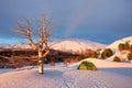 Morning Light On Winter Etna Park, Sicily