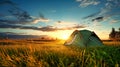 Green Tent on Lush Green Field. Hiking and outdoor recreation