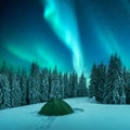 Green tent and snow-covered fir trees