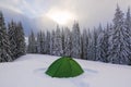 Green tent stands on the snowy lawn in the cold winter day. High spruce trees. Touristic camping rest place.