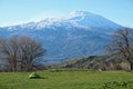 Camping In Nebrodi Park, Sicily