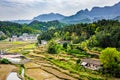 Green terraced agricultural fields and residential houses, Zhangjiajie Forest Park and mountains Royalty Free Stock Photo