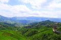 Green terraced fields, terrace along mountains Royalty Free Stock Photo