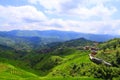 Green terraced fields, terrace along mountains Royalty Free Stock Photo